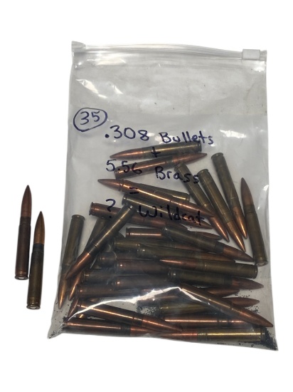 35rds. of .308 Bullets and 5.56 Brass Wildcat Ammunition