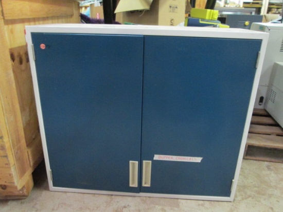 Painted Metal 2 Door Wall Hanging Cabinet