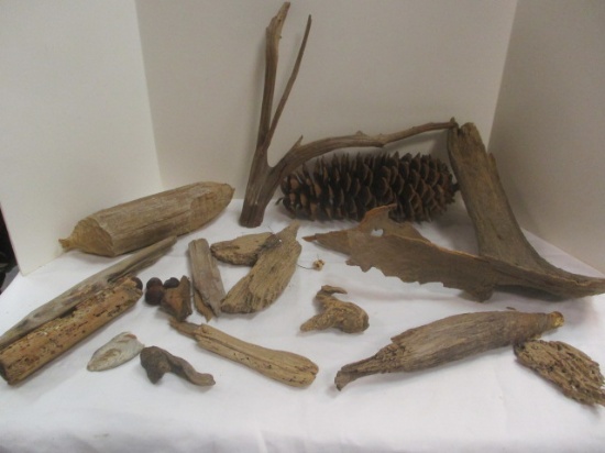 Driftwood Grouping & Large Pine Cone