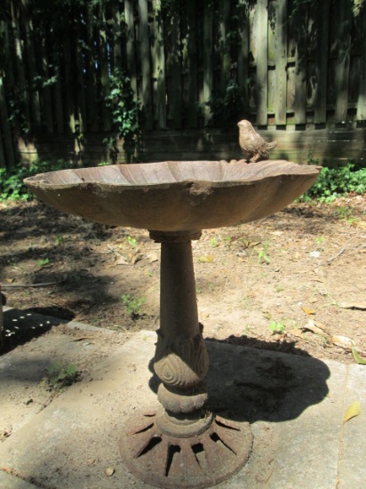 Cast Metal Shell Shape Bird Feeder/Bath with Bird Finial