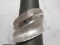 14k White Gold Ring