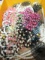 Lot of Vintage Beaded Necklaces and Costume Jewelry