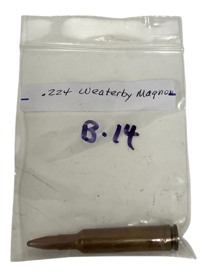 .224 Magnum Ammunition Cartridge Ammunition