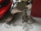Vintage Metal Tricycle