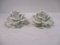 Cabbage/Rose Petal Shaped Votive Holders