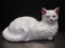Vintage Ceramic Cat Stamped Made in Portugal.