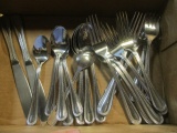 Stainless Steel Flatware, Twelve Forks, Four Large Spoons, Five Spoons, Two Knives.