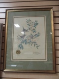 Signed Print by  Anna Richardson, 1217/2000, SC State Bird, with Gov. John West seal