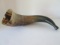 Old Steer Horn Carved Mouth Piece Horn