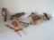 Grouping of Folk Art Hand Carved Wood Birds