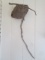 Vintage Hornets Nest on Branch Wall Hanging