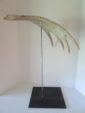 Hand Carved Soaring Eagle Moose Antler Sculpture