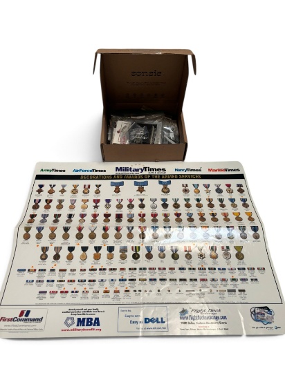 Vietnam Era Pins and Medal Poster