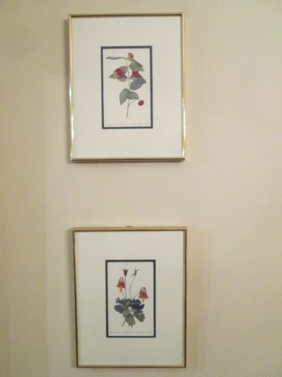 Two Sudie Payne Daves Pencil Signed Botanical Watercolors