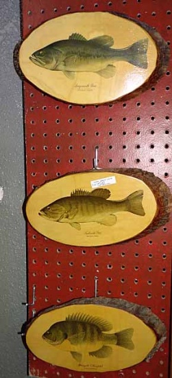 Set Of 3 Vintage James Heddon & Sons Famous Collection Wooden Fish Plaques: Small Mouth Bass, Large
