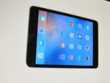 Apple iPad Mini black