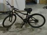 BLARE MOUNTAIN PAINTED BIKE