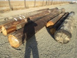 (9) Misc Size Cut-Up Telephone Poles