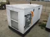 Martin CGS44k Skid Mount Generator,