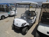 Yamaha Golf Cart,