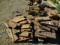 Lot Of Bolt Of Router Bits