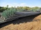 (178) 30' Irrigation Sticks W/24