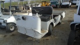 Taylor-Dunn Utility Cart,