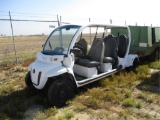2007 GEM Golf Cart,