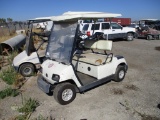 Yamaha Golf Cart,