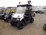 2011 Land Master LSV Utility Golf Cart,