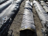 Roll Of 15' x 20' Artificial Turf,