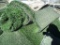 Lot Of Assorted Artificial Turf