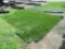 Lot Of 15' x 9' Roll Of Artificial Turf