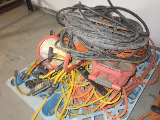 Lot Of Assorted Extension Cords, Pig Tails, Lights