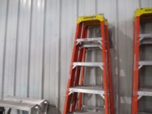Lot Of (2) Werner 8' Ladders