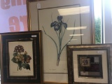 Set of three print - two flower prints with scientific names and modern japanese influenced abstract