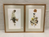 Set of two vintage custom frame prints - bird and flower subject matter