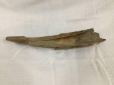 Prehistoric fossilized Mastadon tusk from Alaska, approx. 12,000+ years old
