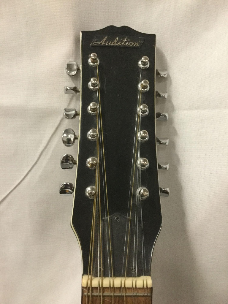 washburn n4 pickups