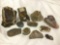 11 assorted specimens of rocks/mineral incl. petrified wood, saganite, quartz and more