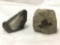 Pair of fossils encased in rock/crystal