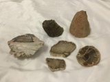 6 pc selection of cut crystal and petrified wood specimens - different colors / shapes