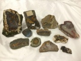 11 assorted specimens of rocks/mineral incl. petrified wood, saganite, quartz and more
