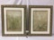 Lot of 2 large framed flower prints by Blum, Orichid - Narcissus approx 34 x 43 inches