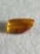 Fine polished fossilized Baltic Amber nugget w/ clearly visible insect inclusion