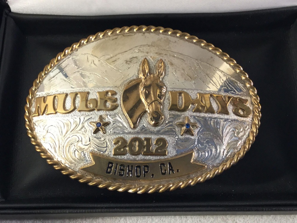 mule belt buckle