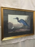 Blue Heron by John James Audubon print in gold frame