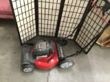 Briggs and Stratton 725 ex series 7.25 snapper lawnmower