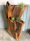 Beautiful O.O.A.K. wood carved planter with living plants by local artist Chau Woodhead