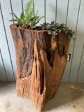 Beautiful O.O.A.K. natural wood carved planter with living plants by local artist Chau Woodhead